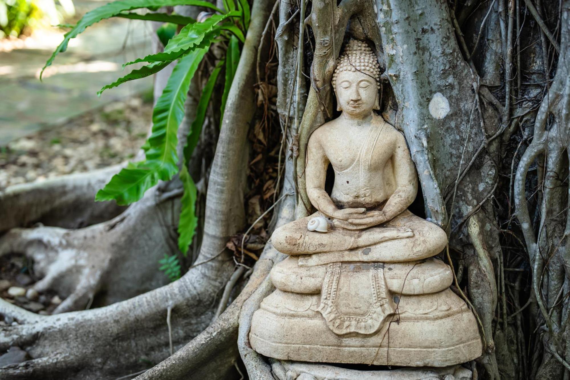 Samahita Retreat 호텔 Laem Sor 외부 사진